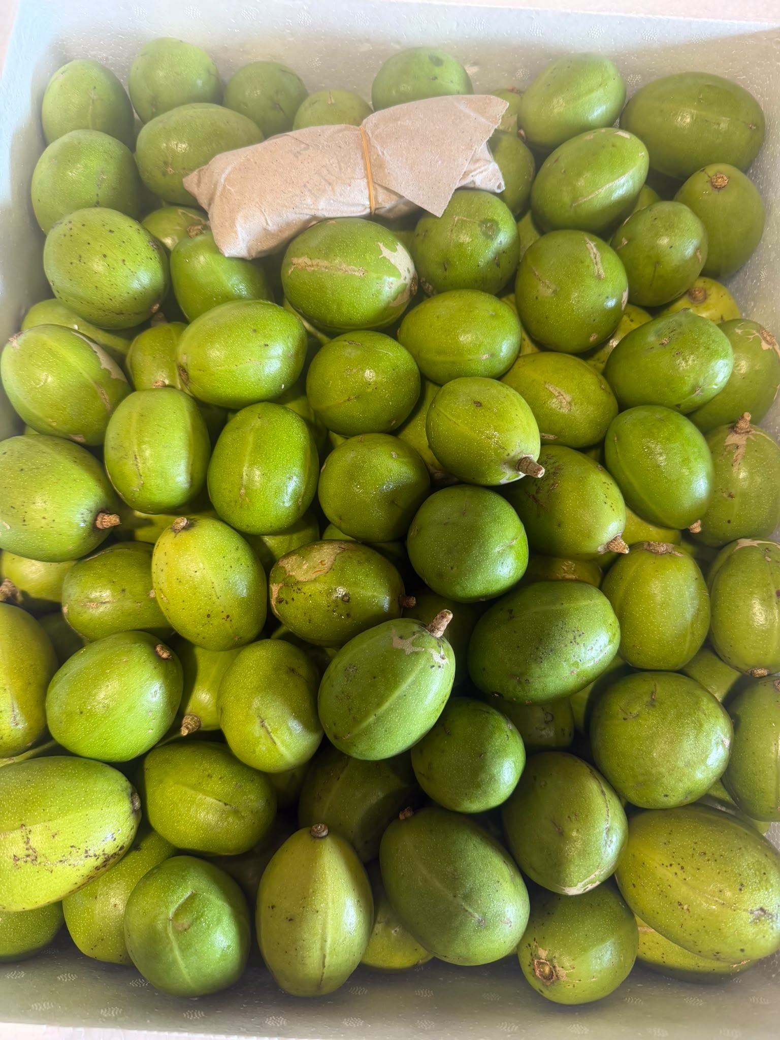 Golden Apple BULK (10kg)