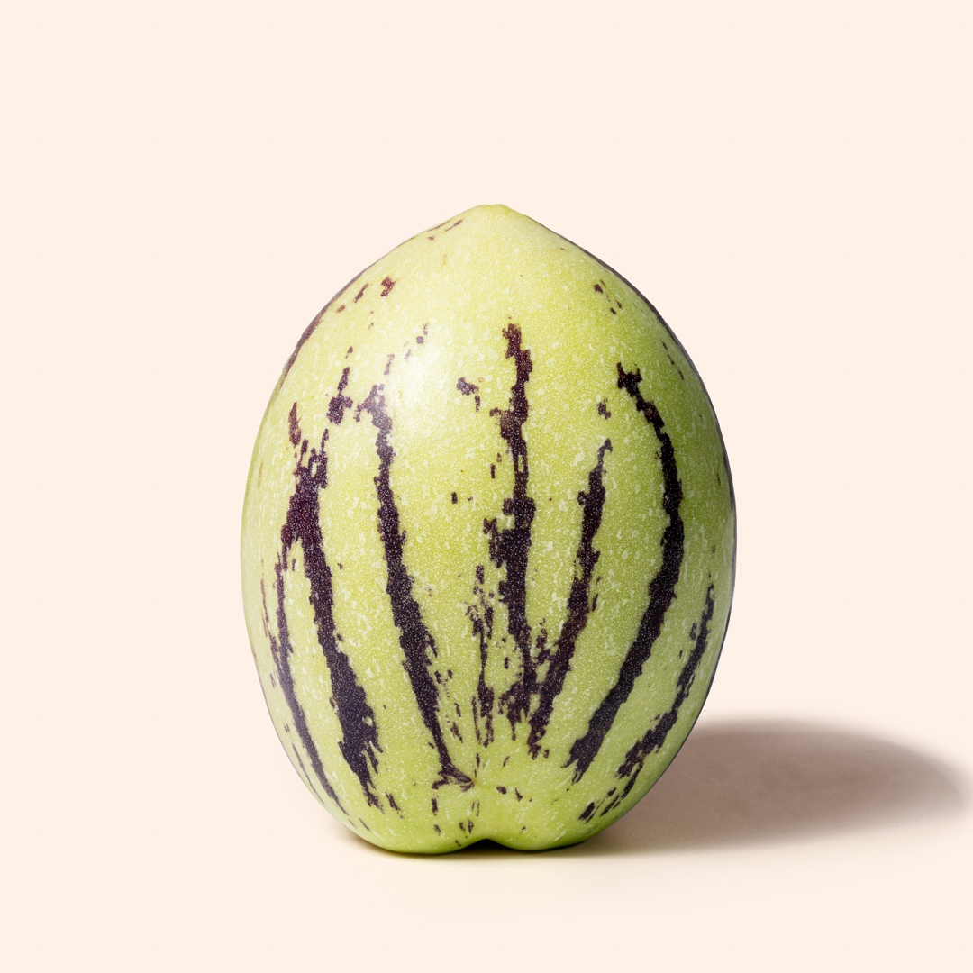 Pepino Melone