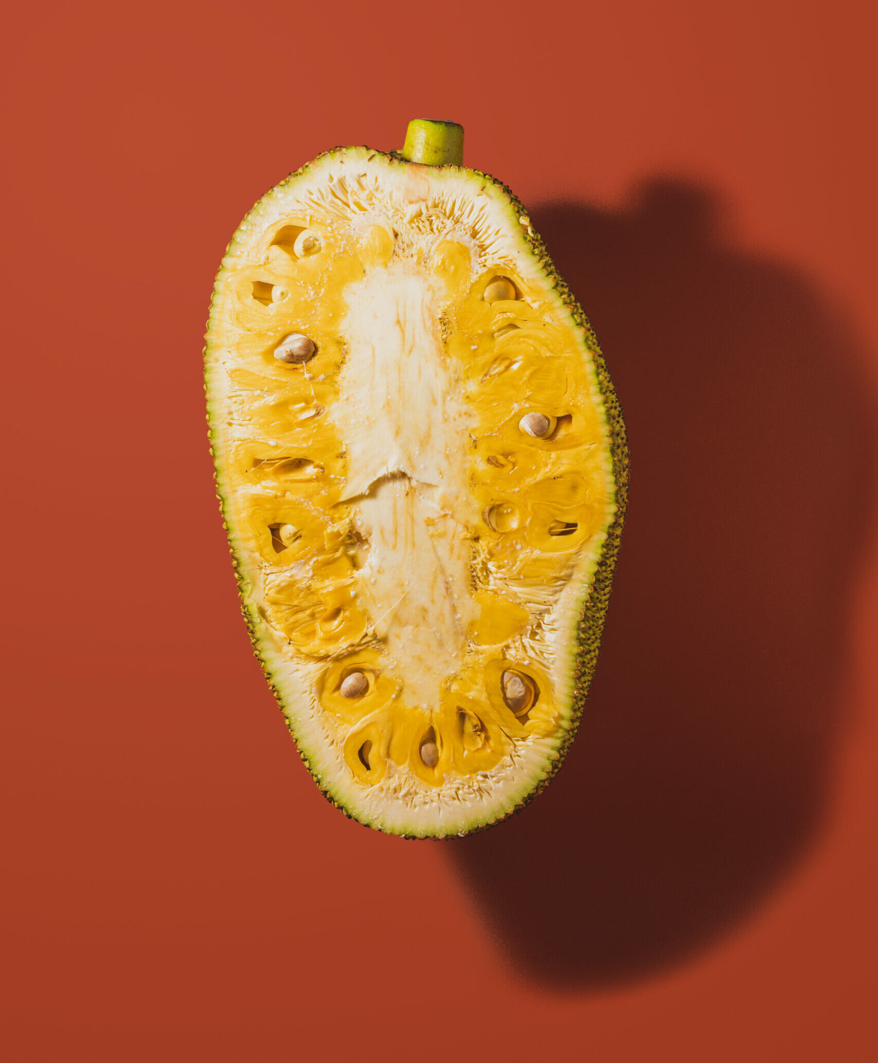 Gelbe Jackfrucht Mexico - Exotische tropische Frucht - JJ Global Trader