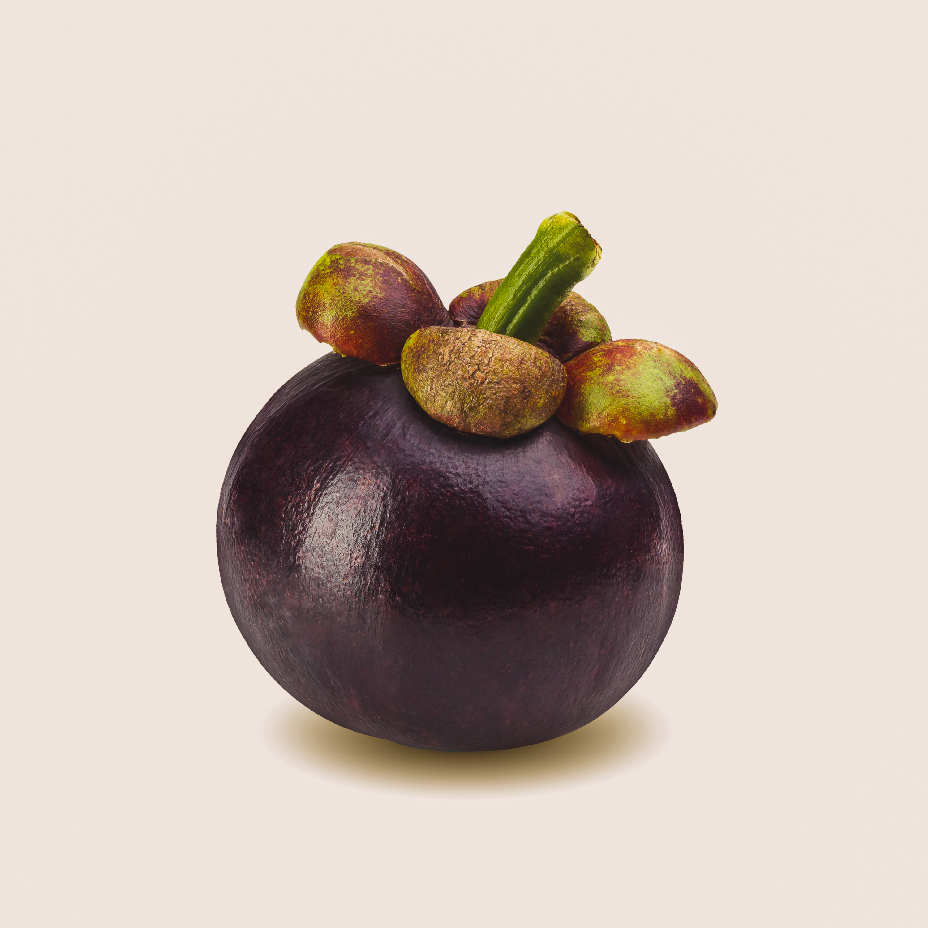 Mangosteen - Exotische Frucht mit süßem Geschmack - JJ Global Trader