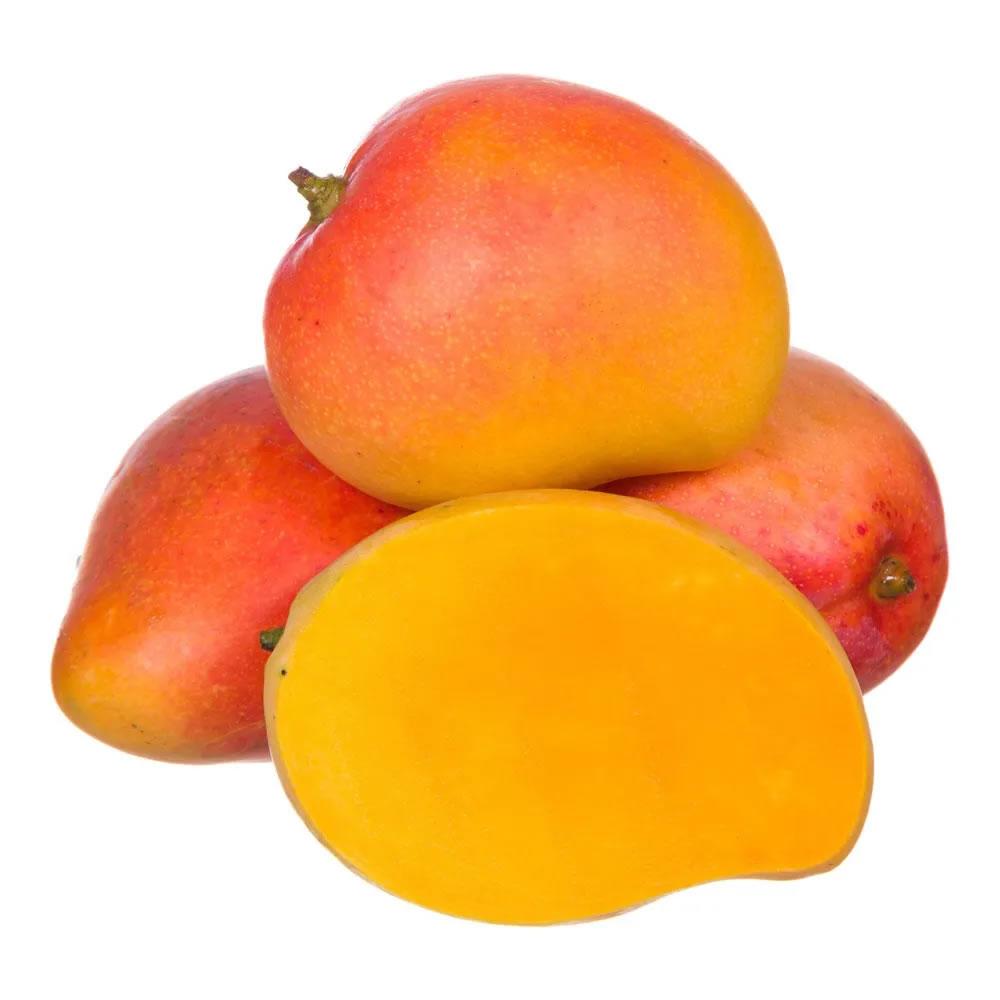 Rosa Mango