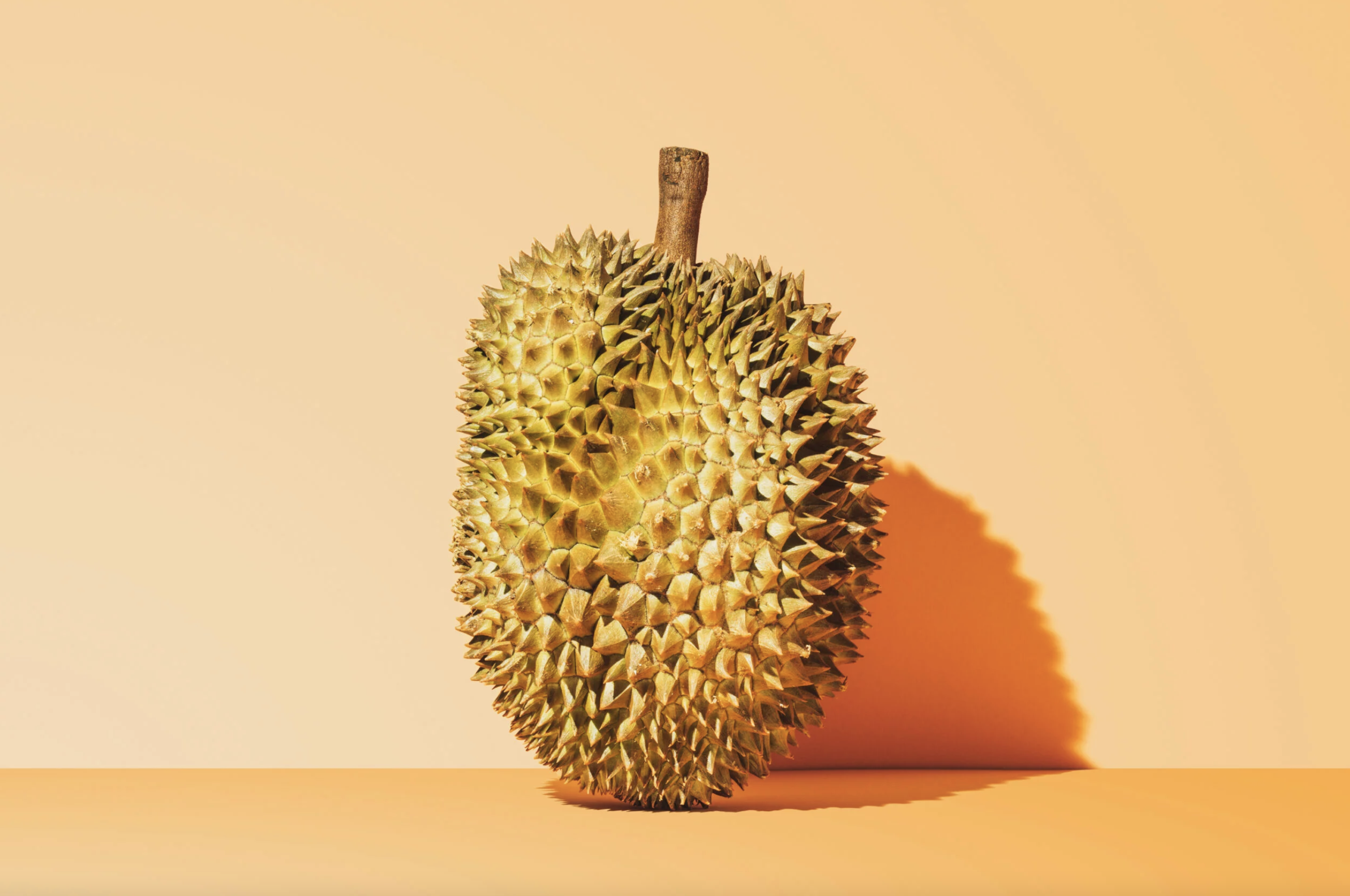 Durian Monthong - Exotische Frucht mit einzigartigem Geschmack - JJ Global Trader