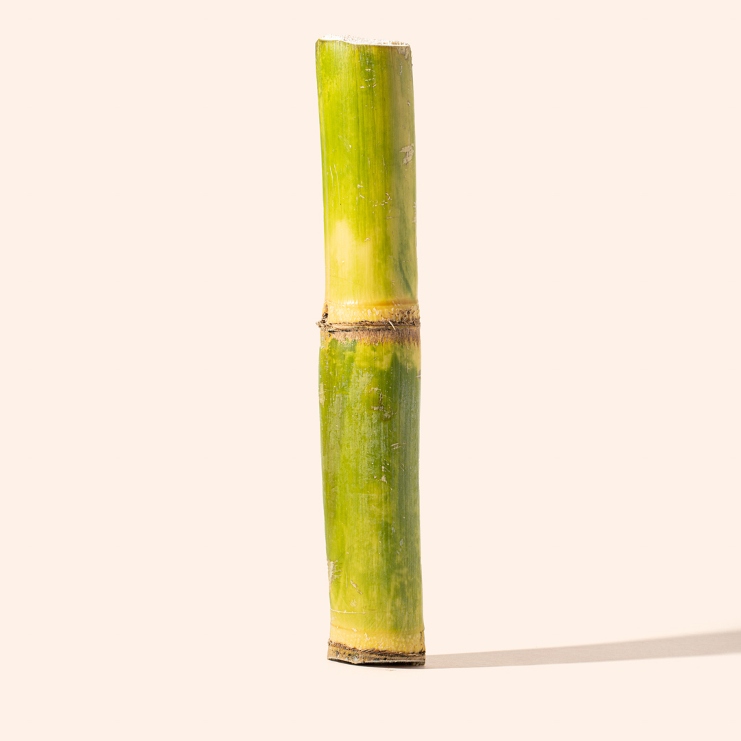 Grüner Zuckerrohr - Frische natürliche Süße - JJ Global Trader