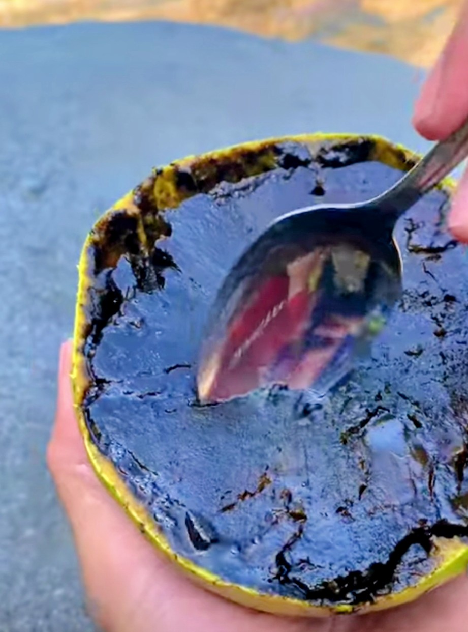 Black Sapote