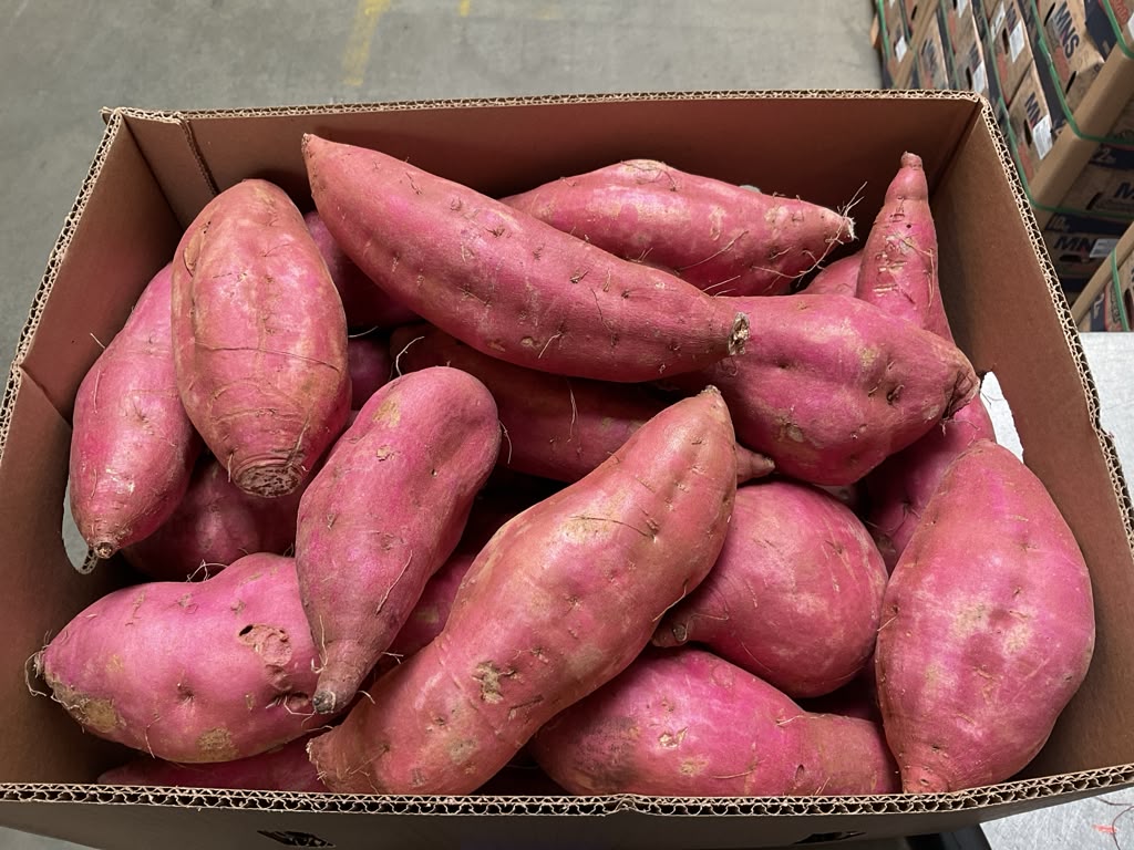 Rote Süßkartoffel BULK (9,5kg)