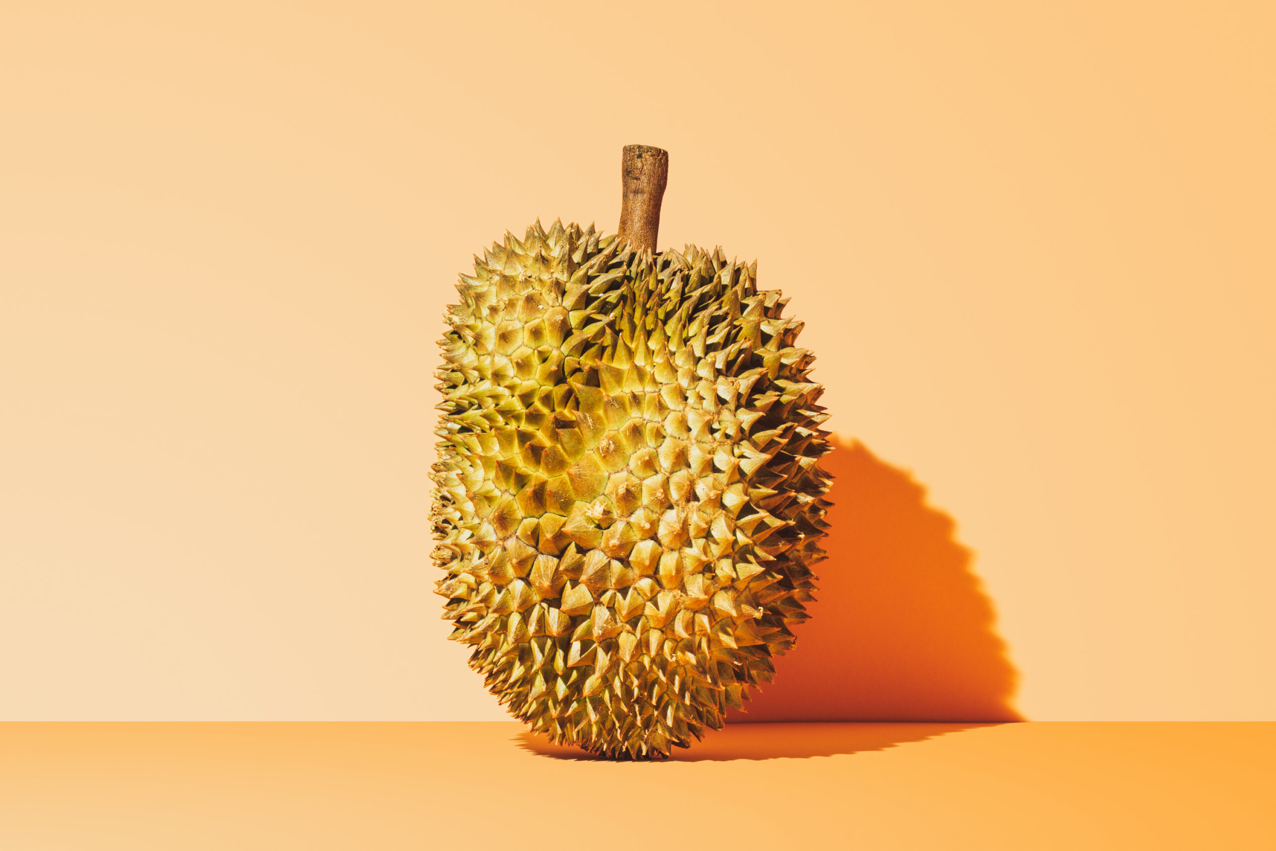 Durian Monthong - Exotische Frucht mit einzigartigem Geschmack - JJ Global Trader